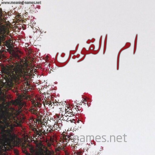 شكل 18 صوره الورد الأحمر للإسم بخط رقعة صورة اسم ام القوين AM-ALQOIN